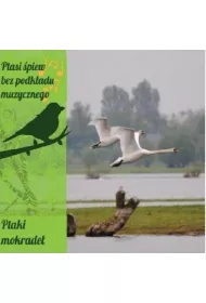 Ptasi �piew bez podk�adu muz. Ptaki mokrade� CD