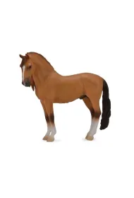Ko� Campolina Stallion Red Dun