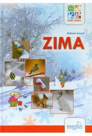 Zima. Pory roku