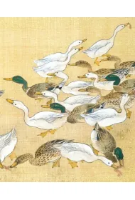 Museums & Galleries Karnet z kopert� Ducks feeding 17x14 cm