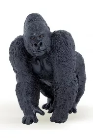 Goryl