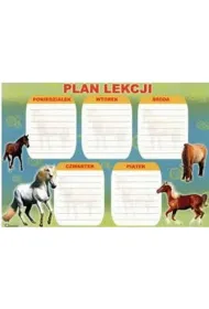 Polsyr Plan lekcji A4 kartonowy mix