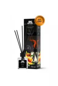Big Nature Dyfuzor zapachowy Pomaracza Cynamon 100 ml