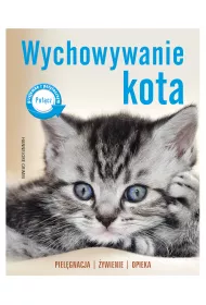 Wychowywanie kota