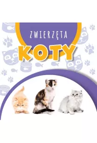 Wst�gi kartonowe - Koty