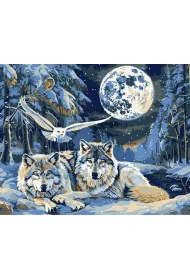 Ideyka Malowanie po numerach - Drapie�niki i m�dro�� 40x50cm