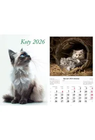 Kalendarz �cienny 2026 Koty