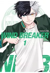 Wind Breaker. Tom 1