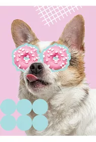 St. Majewski Zeszyt A5 Funny Dog kratka, 70g 60 kartek