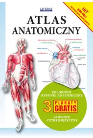 Atlas anatomiczny