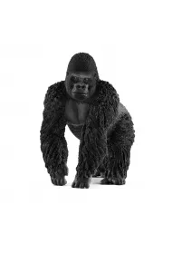 Goryl