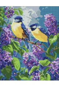 Ideyka Diamentowa mozaika - Wiosenny duet 40x50cm