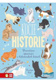 Kocie historie