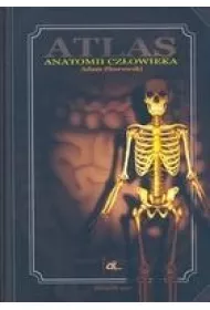 Atlas anatomii cz�owieka