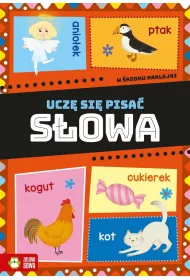 S�owa. Ucz� si� pisa�