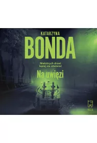 Audiobook Na uwizi. Detektyw Jakub Sobieski. Tom 4 mp3