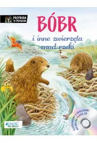 B�br i inne zwierz�ta znad rzeki