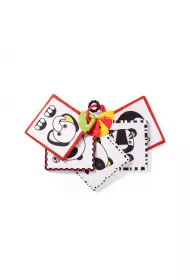 Babyono Karty edukacyjne Dream Team C-more Collection