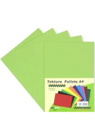Penword Tektura A4 falista pistacjowa 5 szt.