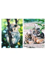 Teczka z gumk� A4 Wild Animal2 STARPAK 559730