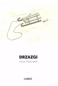 Drzazgi