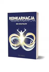 Reinkarnacja bez domys��w