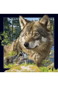 Worth Keeping Magnes 3D Wilk