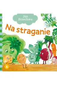 Ksi��eczka 162X162 sztywnostronicowa Na straganie SKRZAT 073935 SK
