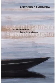 �wiat�o w cieniu
