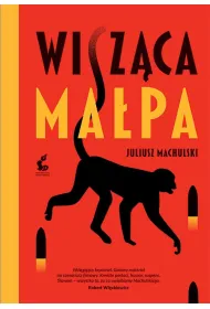 Wisz�ca ma�pa