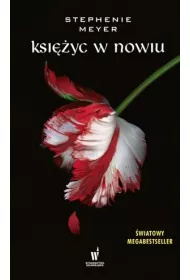 Ksi�yc w nowiu