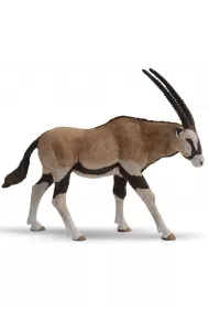 Antylopa Oryx