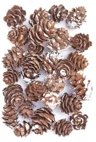 Dalprint Mini szyszki bielone 25g