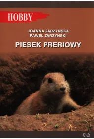 Piesek preriowy