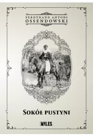 Sok Pustyni