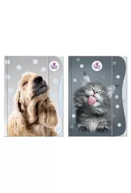 Beniamin Teczka z gumk� A4 The Sweet Pets