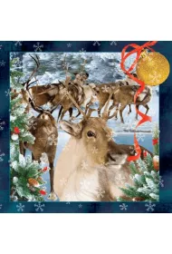 Worth Keeping Poczt�wka 3D - Rudolf