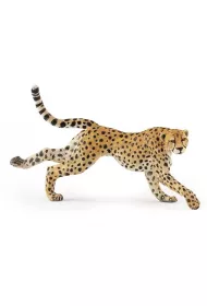 Gepard grzywiasty biegn�cy