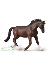 Collecta. Klacz oldenburg. Ma�� kasztanowa