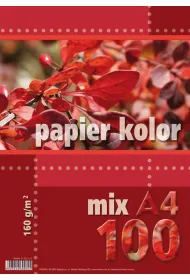 Kreska, Papier kolorowy A4, 100 kartek, 160 g/m2, wielokolorowy
