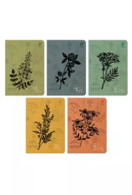 Elanders Zeszyt A5 By Nature - Herbs kratka 64 kartek 10 szt.