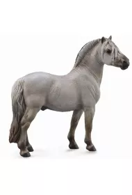 Ko� Fiord Stallion Grey