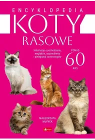 Koty rasowe Emcyklopedia