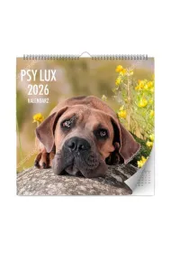 Kalendarz 2026 cienny lux psy