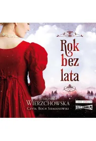 Audiobook Rok bez lata mp3