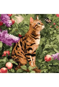 Ideyka Malowanie po numerach - Kot bengalski 40x40cm