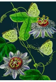 Madame Treacle Karnet B6 z kopert� Passiflora noc�