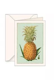 Tassotti Karnet B6 + koperta 5960 Ananas