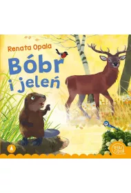 Bbr i jele