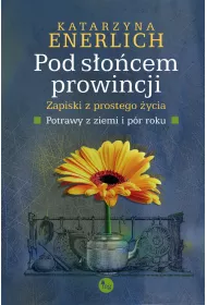 eBook Pod socem prowincji. Zapiski z prostego ycia. Potrawy z ziemi i pr roku mobi epub